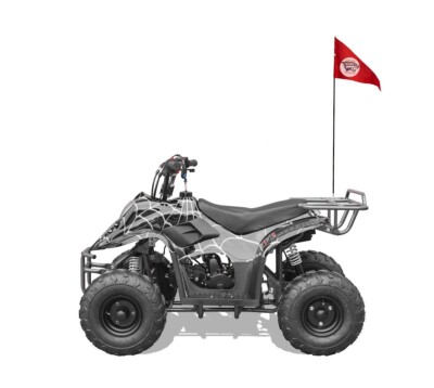 JASSCOL/ TIGER 125cc Gas ATV Quad With 7” & 8” Tires | eBay