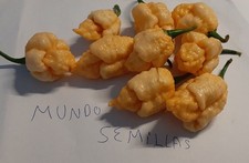 Carolina reaper peach (the hottest in the world) chili 10 seeds