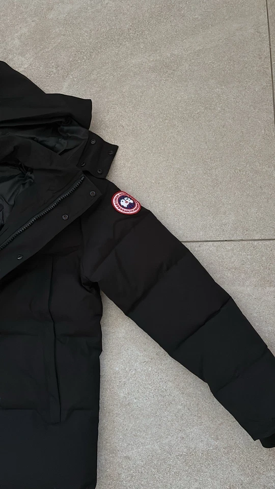 canada goose - Photo 2/4