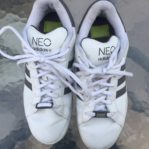 adidas neo campus
