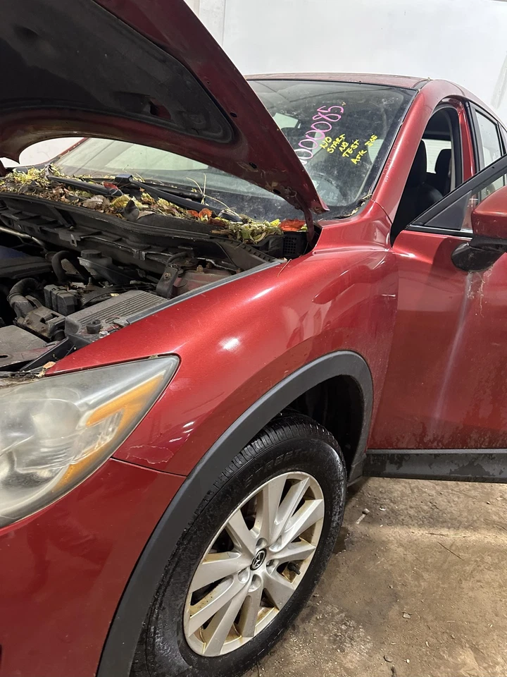 Used Front Left Fender fits: 2013 Mazda CX-5 wheel lip moulding Front Left Grade Foto 2 de 4