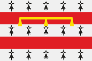 Fahne Flagge Pforzheim 30 x 45 cm Bootsflagge Premiumqualität