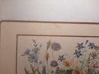 Bild 11 von 12
