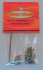 40 SILVER 1-72 Hexhead Button-Head Screw-In Rivets, Washers & Wrench For Customs