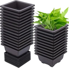 15 PCS 4.7 Inch Bonsai Training Pots, Square Plastic Plants Growing Pots, Flower