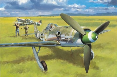 HobbyBoss 81721 Focke-Wulf Fw190D-13 1/48 Scale Plastic Model Kit