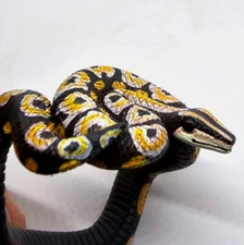 Blood Python Bracelet for Kids Small Plastic Snake Toy Realistic Decoration 