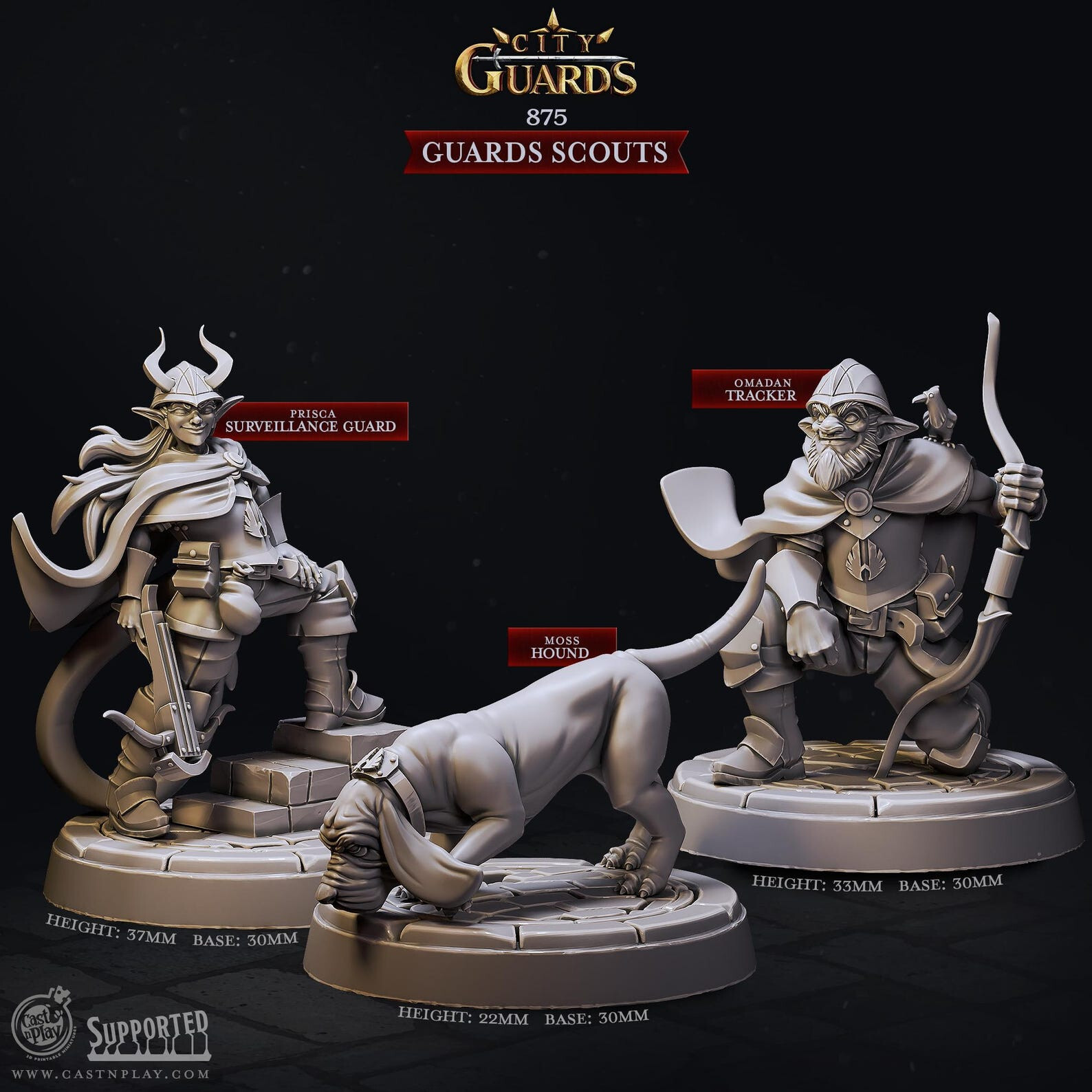Guards Scout City Guards CastNPlay D&D Miniature Wargaming 3D Printed