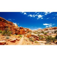 Desert Reptile Tank Background Blue 36 W x18 H inches/ 90 W 45cm H ,