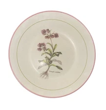 Botanical Decorative Large Salad Bowl With Chimaphila Umbellata Print
