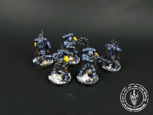 Primaris Infiltrators Space Wolves (5 man squad) painted Commission Warhammer - 第 3/8 張圖片