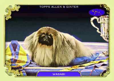 2024 Topps Allen & Ginter Inserts - You Choose/Pick - Buzzin, X-ray'd, & MORE