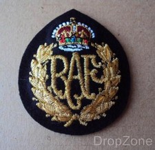 NEW RAF Royal Air Force Queens Crown Other Airmen Cap Badge
