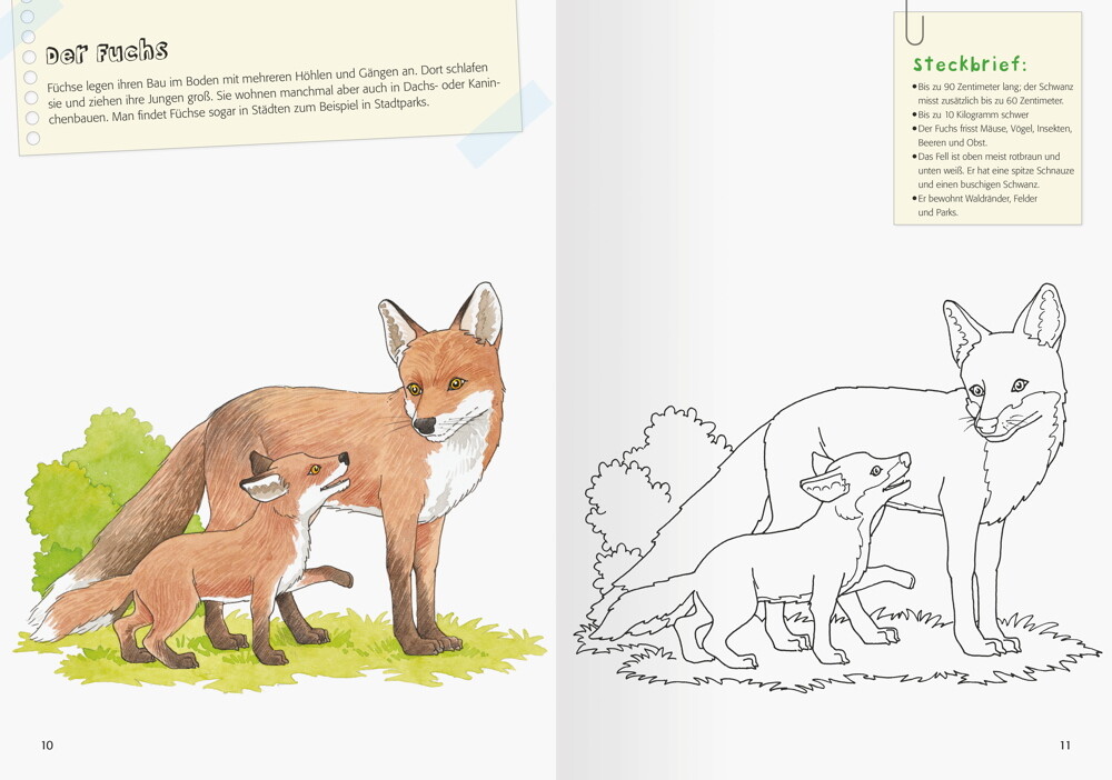 Thumbnail - Ravensburger Buch Kreativität Mein Großes Natur-malbuch 48947