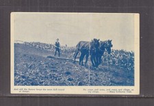 NEW SOUTH WALES, HORSES & FARMER, POEM,1908 ppc. 460, BARADINE to Box Ridge.