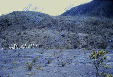 1962 35mm Slide Kilauea Kmc Lava Field Tourists Big Island Hawaii 14633 1962 35mm Slide Kilauea Kmc Lava Field Tourists Big Island Hawaii 14633