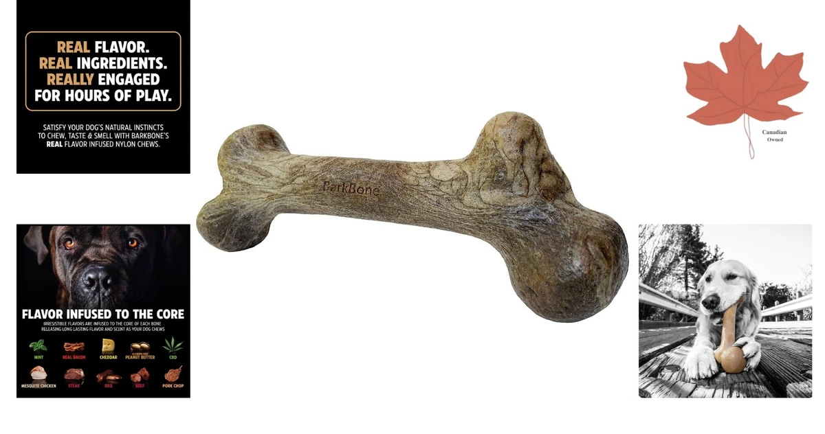 Extreme Dinosaur BarkBone Steak Flavor Chew Toy Ultra Durable