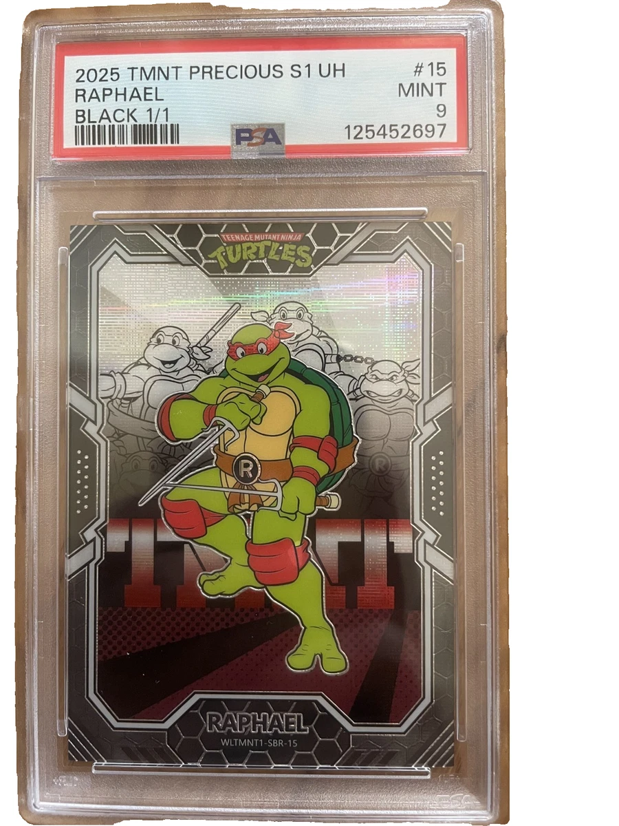 Teenage Mutant Ninja Turtles Professional Sports Authenticator