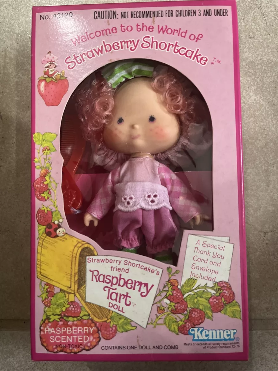 Strawberry Shortcake Raspberry Tart Doll Vintage Rare Mint Condition in Box