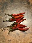 Vietnamese Hot Pepper(Ot Hiem Luc Sy)Thai Hot Pepper 150 Seeds+ 2025/27!