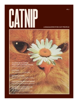 CATNIP, A Magazine for Cat People, First issue NEW - Image 1 of 4