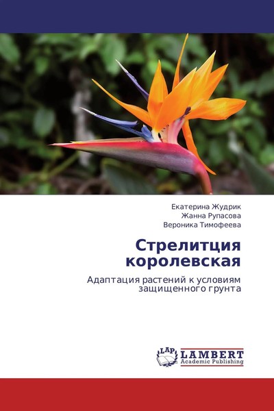 Ekaterina Zhudrik (U. A.) | Strelitciq Korolewskaq | Taschenbuch | Russisch-image