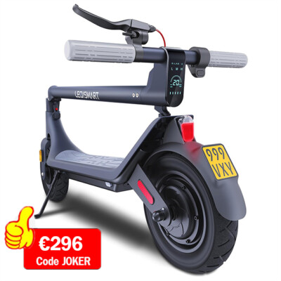 10'' E-Scooter mit Straßenzulassung Elektroroller ABE Electric Scooter 350W Motor