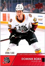2021-22 AHL HOCKEY UD EXCLUSIVES 098/100 DOMINIK BOKK WOLVES #67