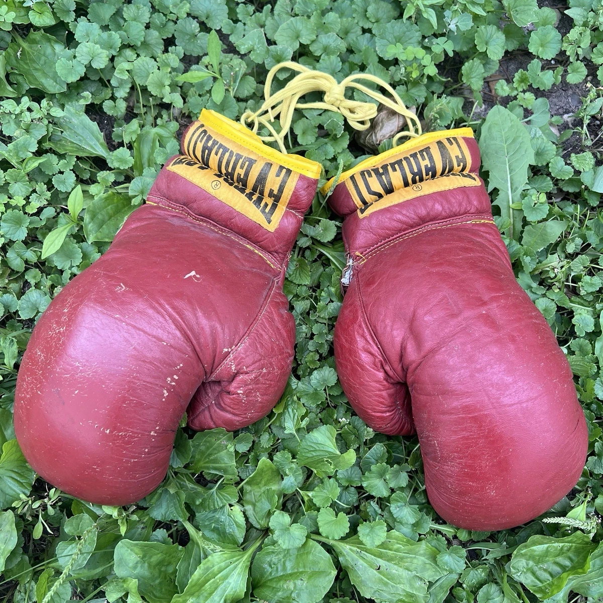 Brown Everlast Boxing Gloves for sale | eBay