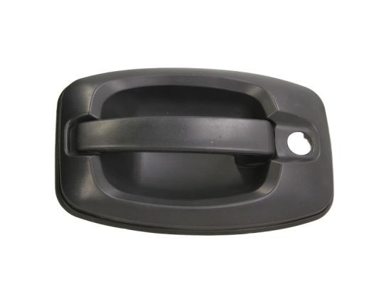 Rear BLIC 6010-07-038417P Door Handle, interior equipment for CITROËN,FIAT,IVECO