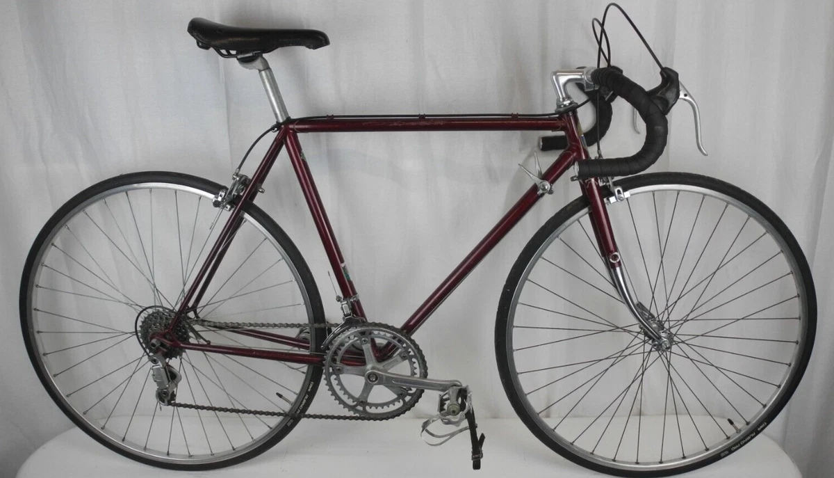 Viking 2025 classic bike