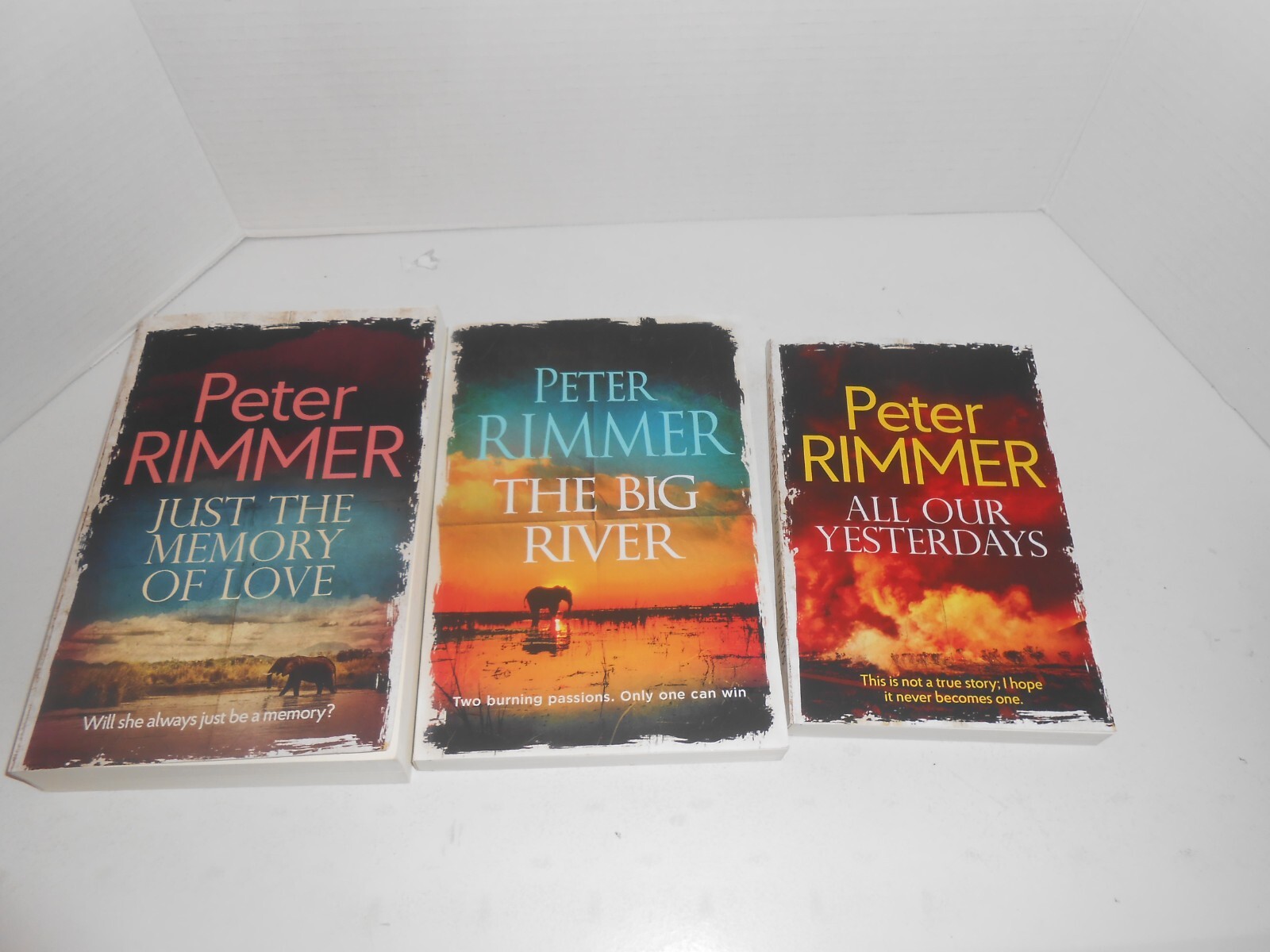 Create your own lot of Peter Rimmer Books, Echoes from the Past | eBay