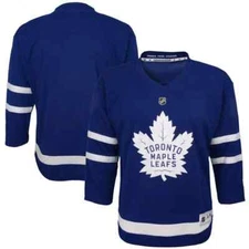 Toronto Maple Leafs Blue Premier Youth Blank NHL Hockey Jersey - Multiple Sizes