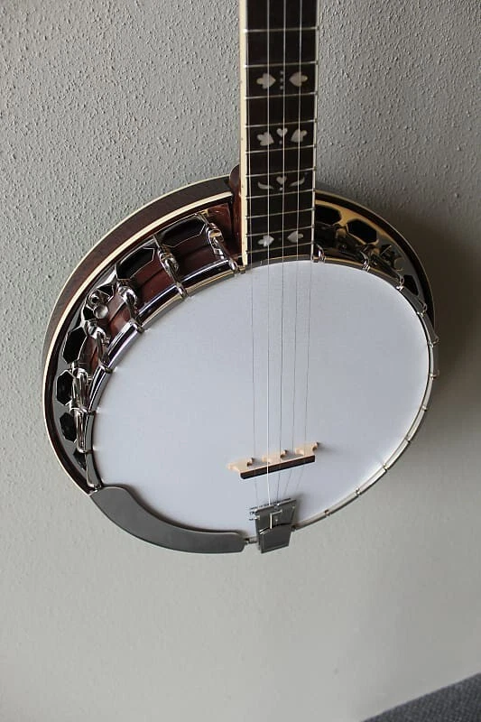 Brand New Recording King RK-R20 Songster Resonator 5 String Banjo with Gig Bag - Image 4 of 4