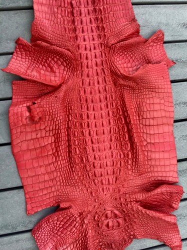 Soft Genuine Crocodile Leather Hide Skin Unique exotic large Display Decor red - Picture 3 of 3