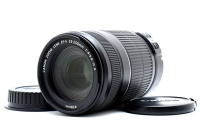 Canon EF-S 55-250mm F/4-5.6 IS Telephoto Zoom Lens