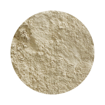 DR T&T 100g San Qi / Tian Qi / Notoginsengwurzel / Notoginseng Radix Pulver