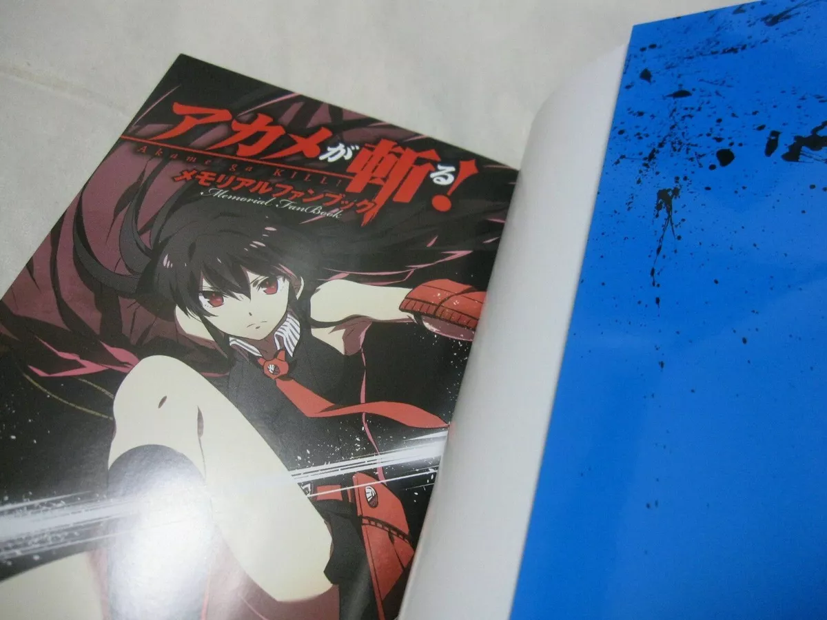 UNUSED BOOK AKAME GA KILL #4 TAKAHIRO TETSUYA TASHIRO IVREA SPANISH  LANGUAGE