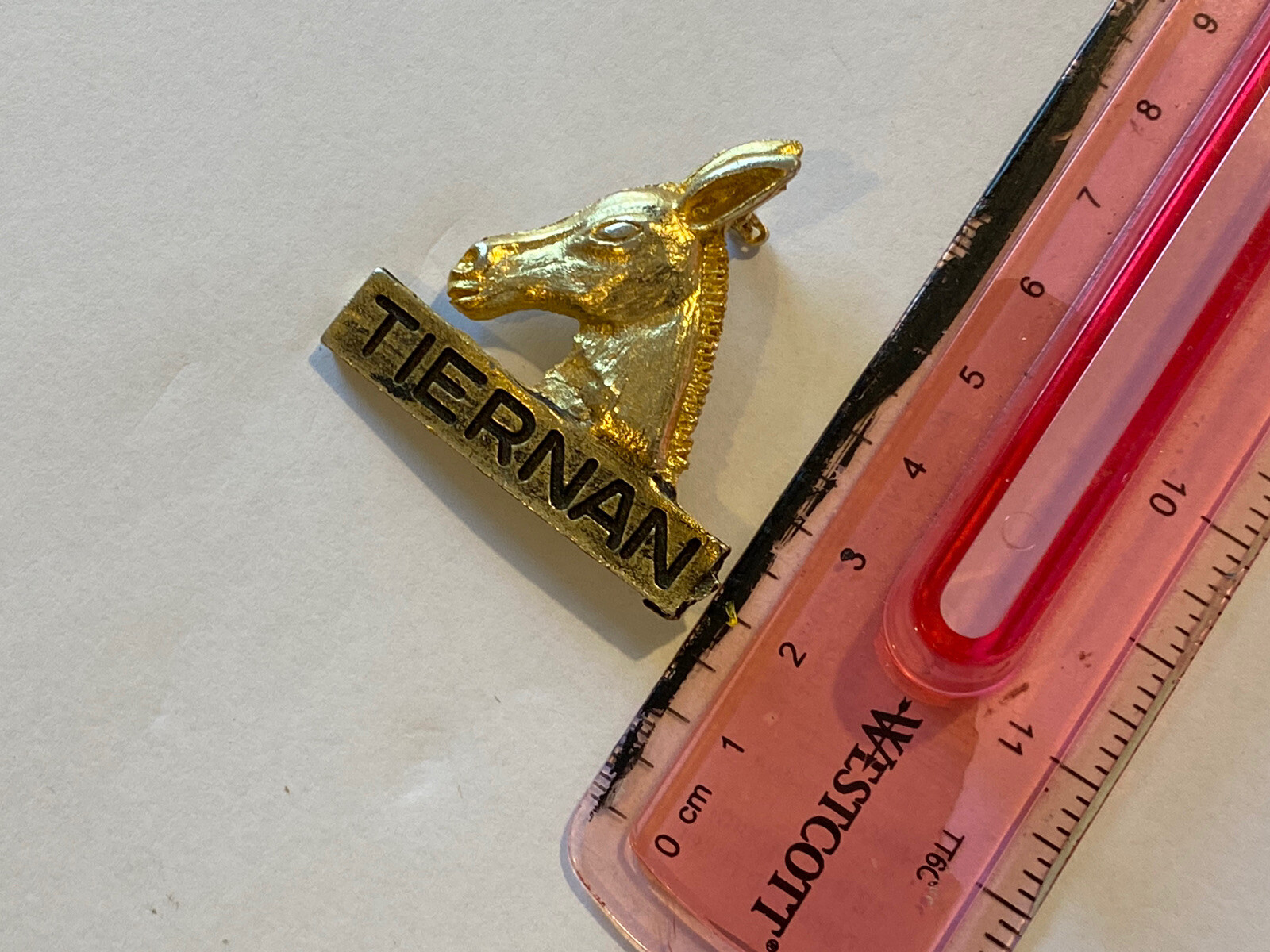 VINTAGE ROBERT TIERNAN DEMOCRATIC PARTY PIN - DONKEY SYMBOL - RHODE ...