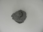 Bild 8 von 9