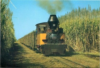 Dr Jim Stamps Australia 20C Pre Stamped Continental Postcard Cane Train