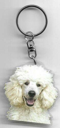 CANICHE  Porte clés chien /  POODLE DOG K.FOB - Afbeelding 1 van 2