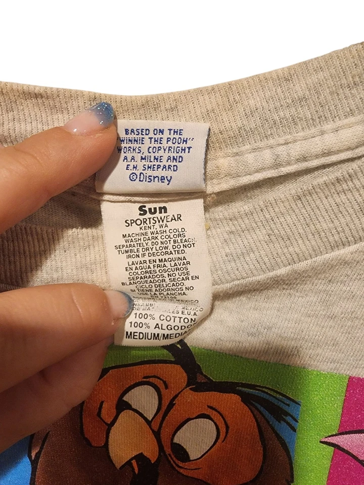 Camiseta De Colección Winnie The Pooh Pooh And Pals Sol Ropa Deportiva Talla M Años 90 Foto 4 de 4