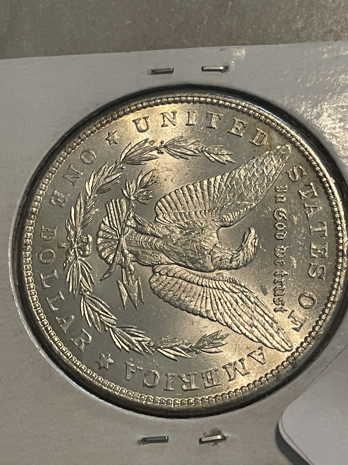 Picture 9 of 12