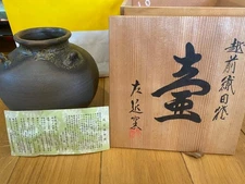Echizen Oda Ware Tea Pot Made in Japan 200ml Used