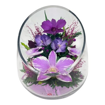 Fiora Living Flower Fiora Flower Elegant Orchid Arrangement In Glass Real