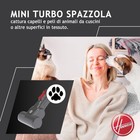 Foto 11 di 24