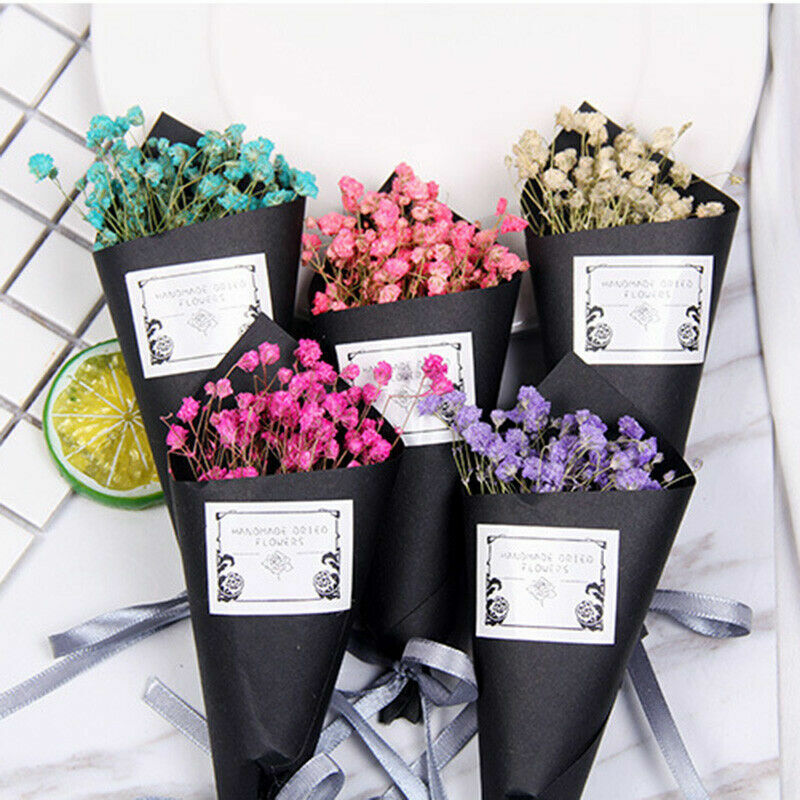 Gypsophila Dried Flowers Mini Bouquet Photography Prop Gift Decor Home Office-image