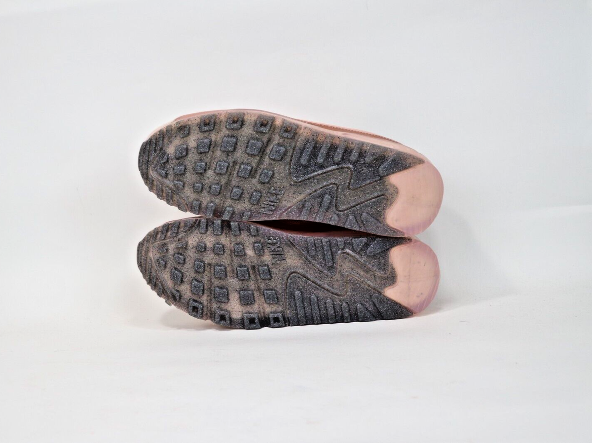 air max 90 terra blush
