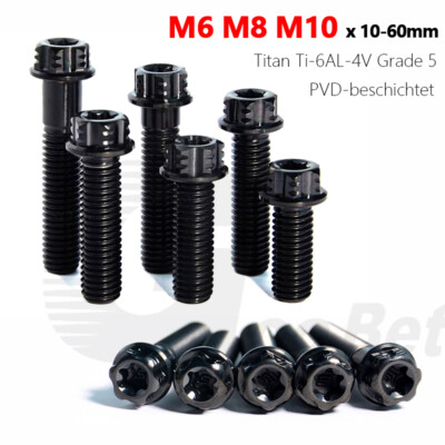 M6 M8 M10 Titanschraube Außensechskant mit Flansch Torx 2 Drive Schwarz Motorrad